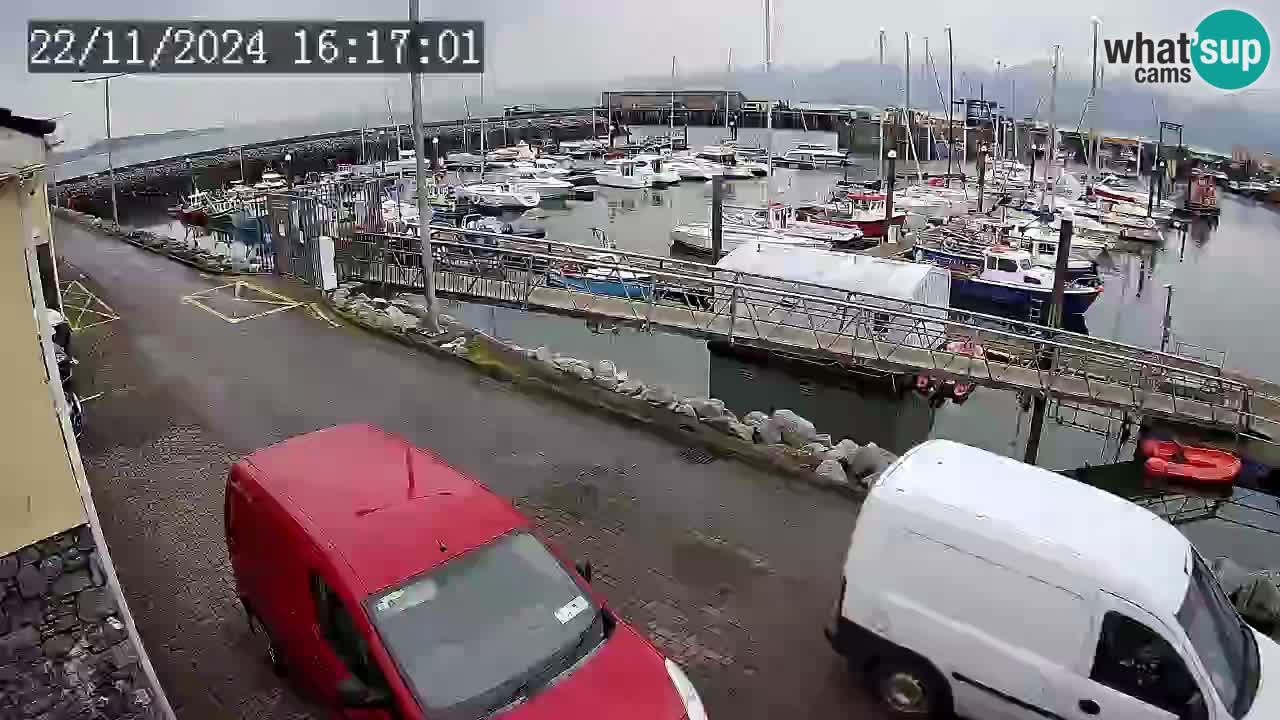 Fenit Marina camera en vivo