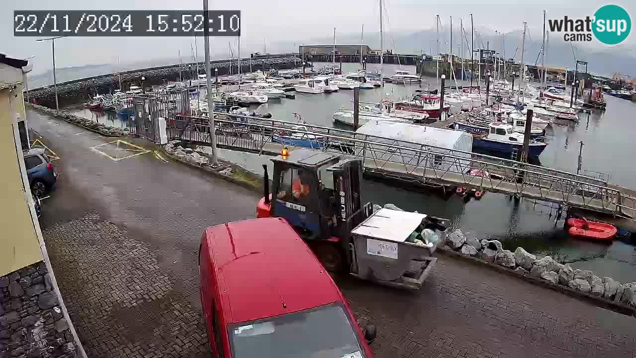 Fenit Marina spletna kamera