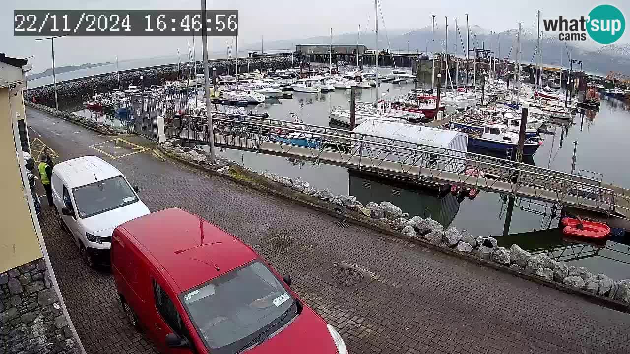 Fenit Marina webcam