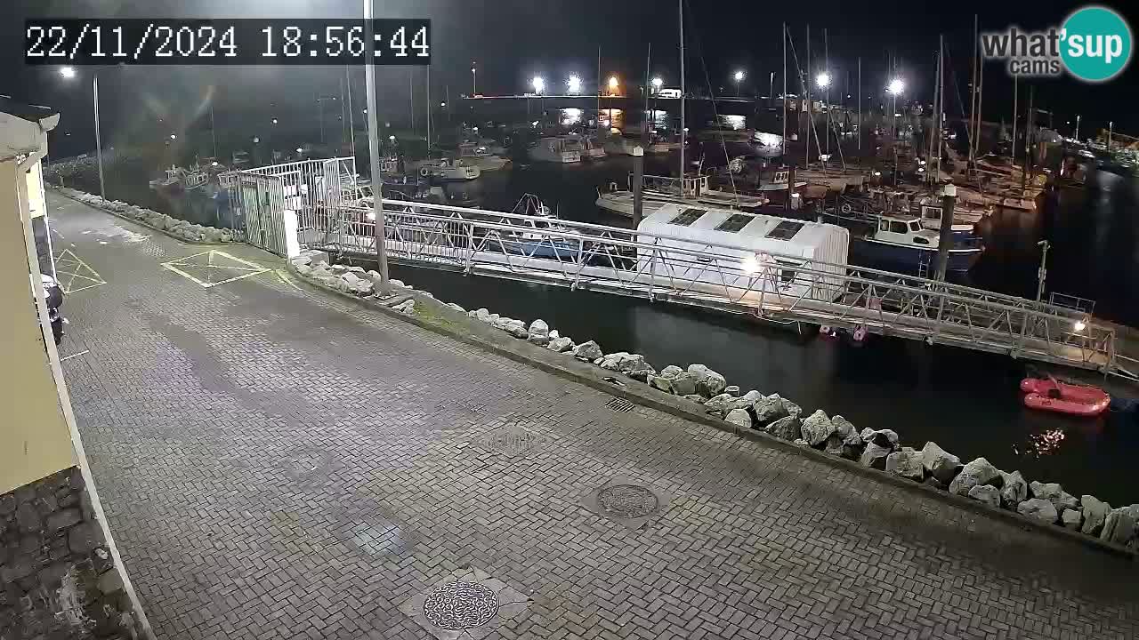 Fenit Marina webcam