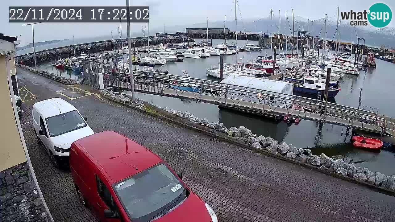 Fenit Marina webcam