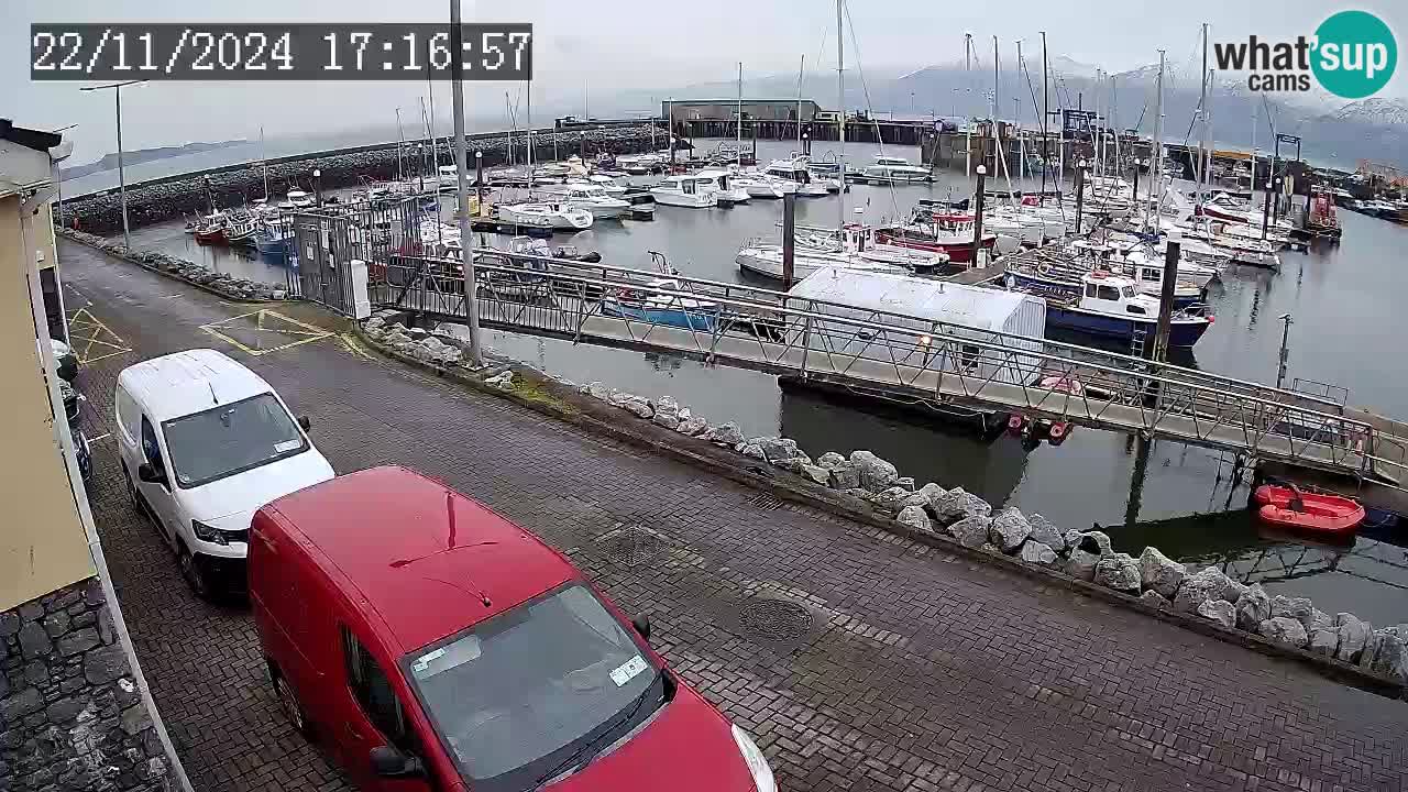 Fenit Marina camera en vivo