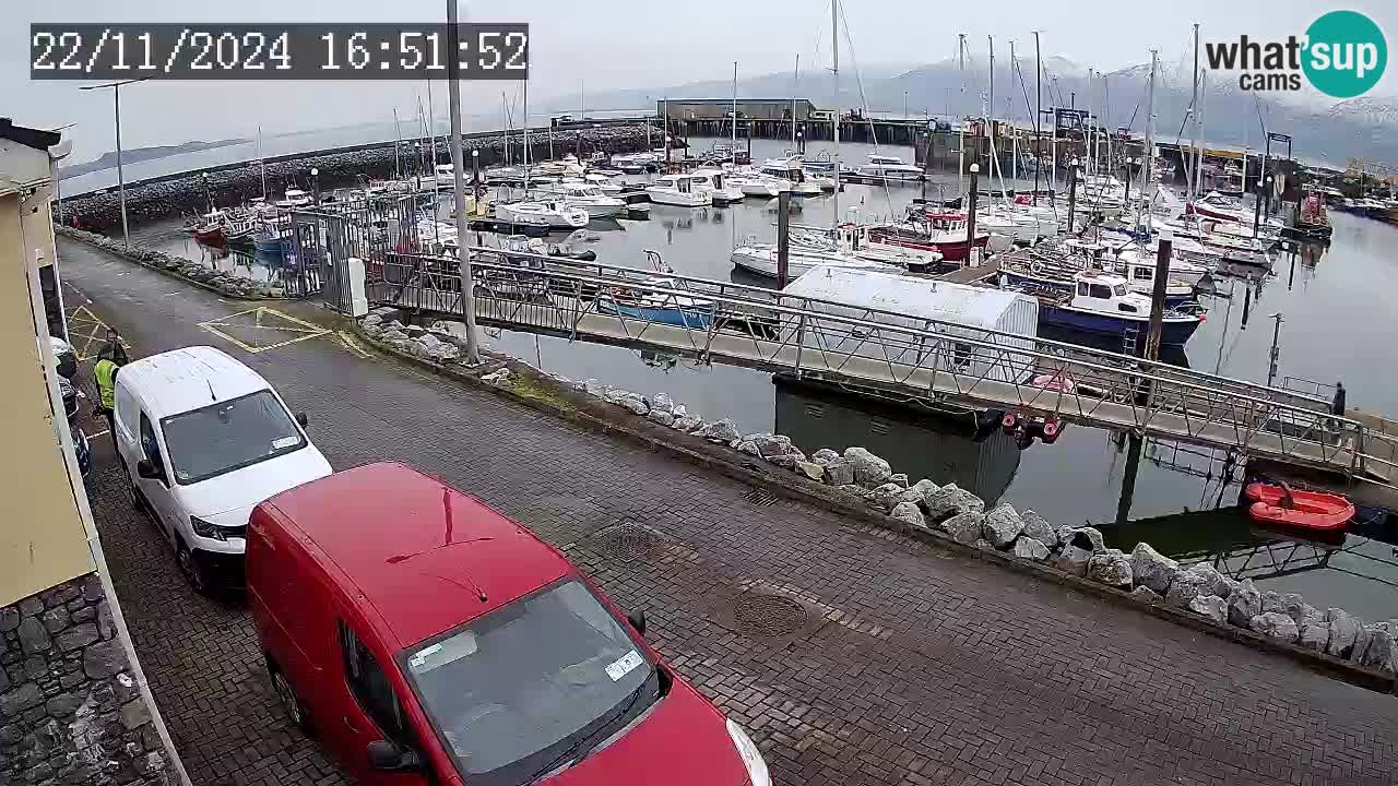 Fenit Marina web kamera