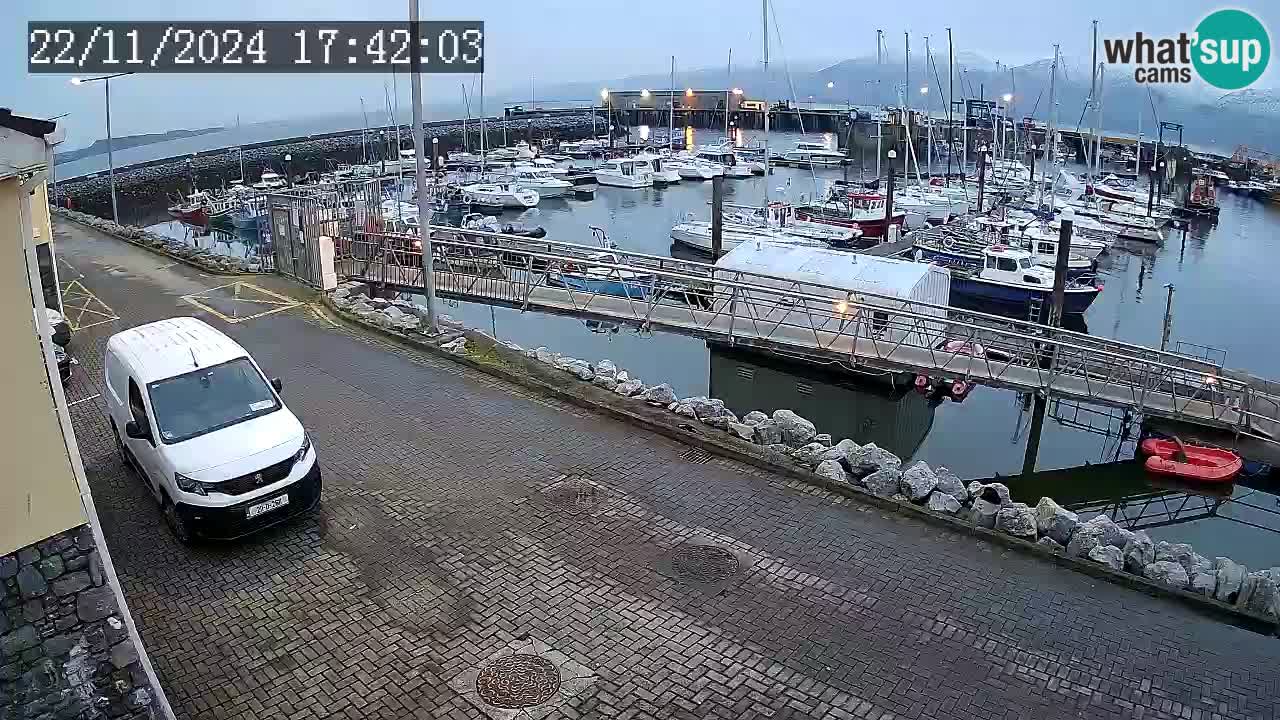 Fenit Marina camera en vivo