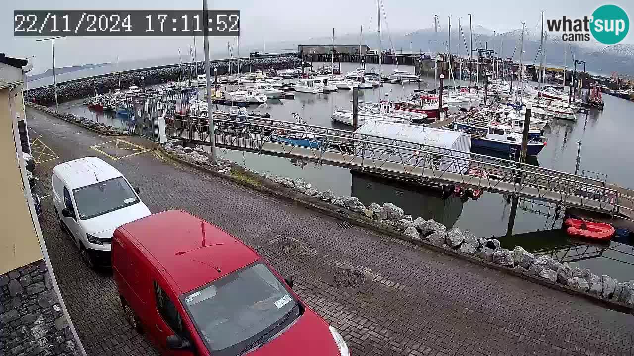 Fenit Marina spletna kamera