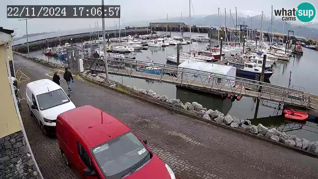 Fenit Marina camera en vivo