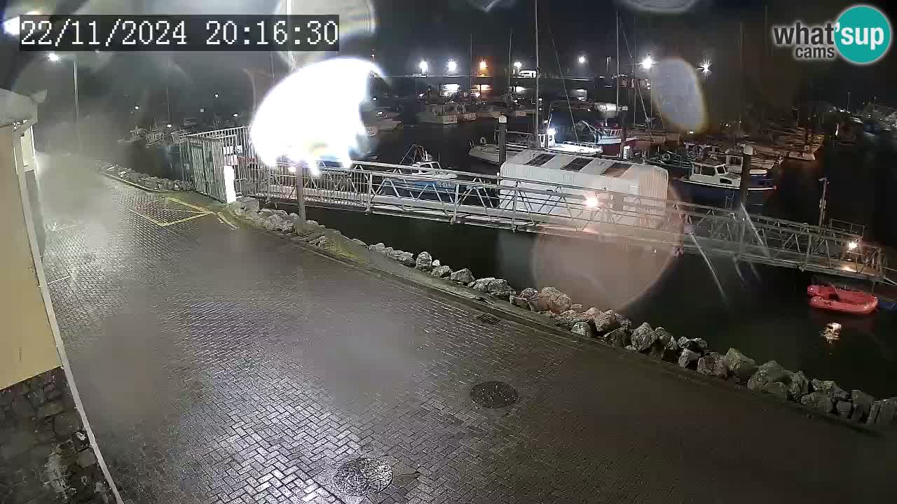 Fenit Marina spletna kamera