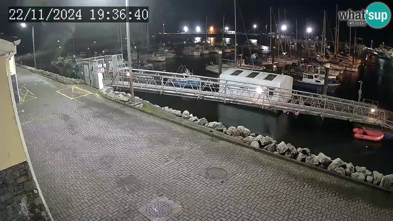 Fenit Marina spletna kamera