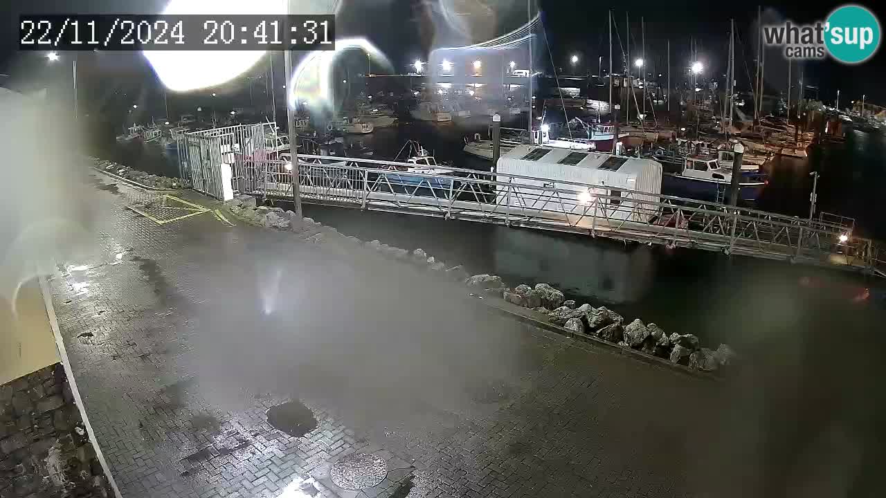 Fenit Marina camera en vivo