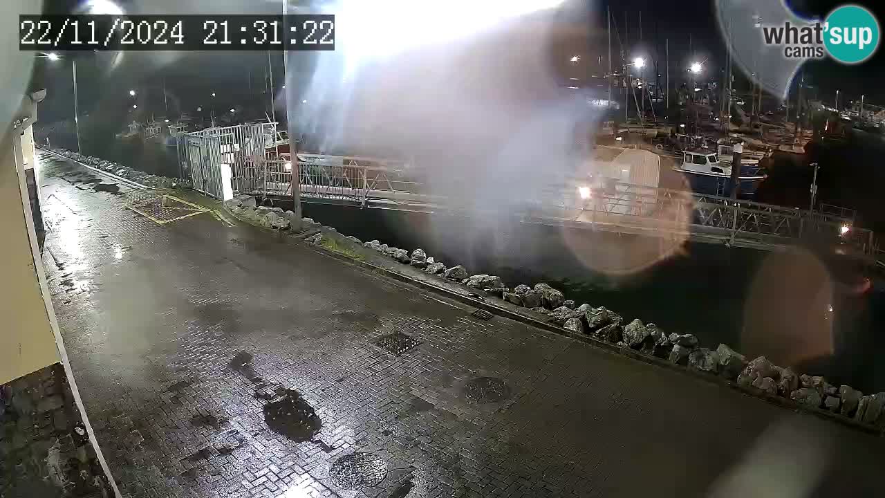 Fenit Marina camera en vivo