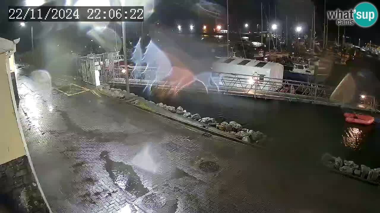 Fenit Marina camera en vivo