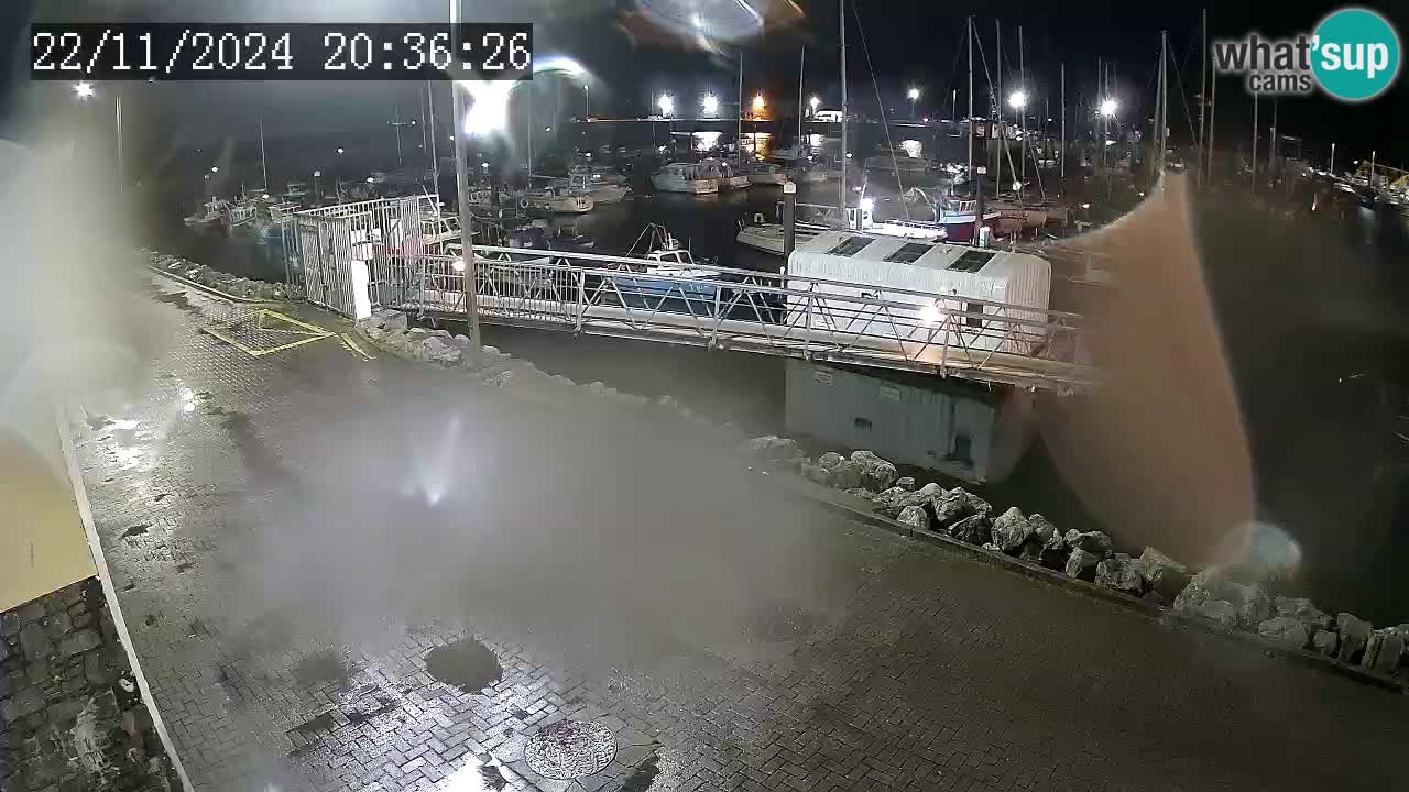 Fenit Marina camera en vivo