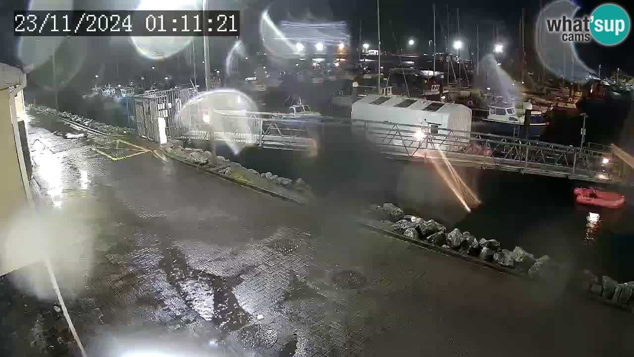 Fenit Marina camera en vivo