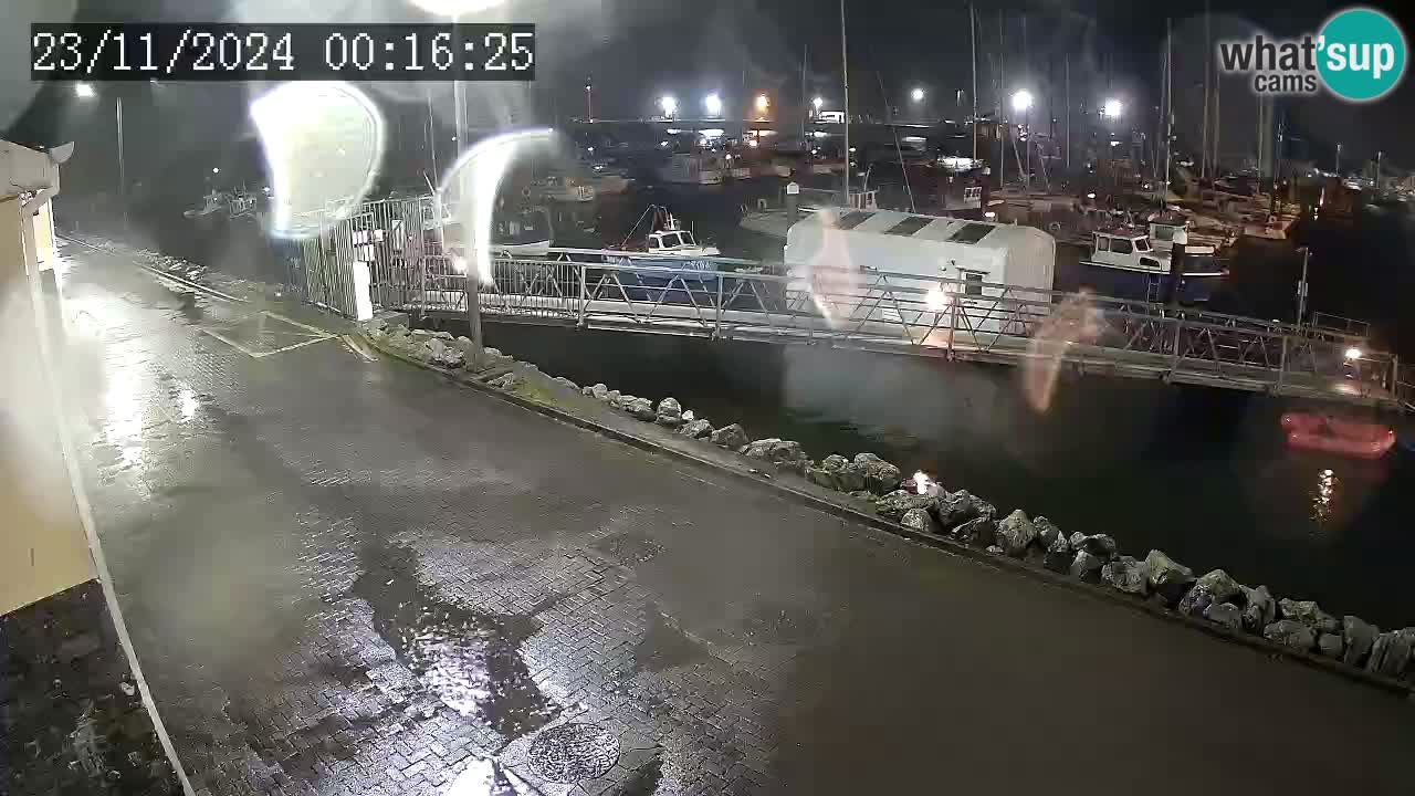 Fenit Marina camera en vivo