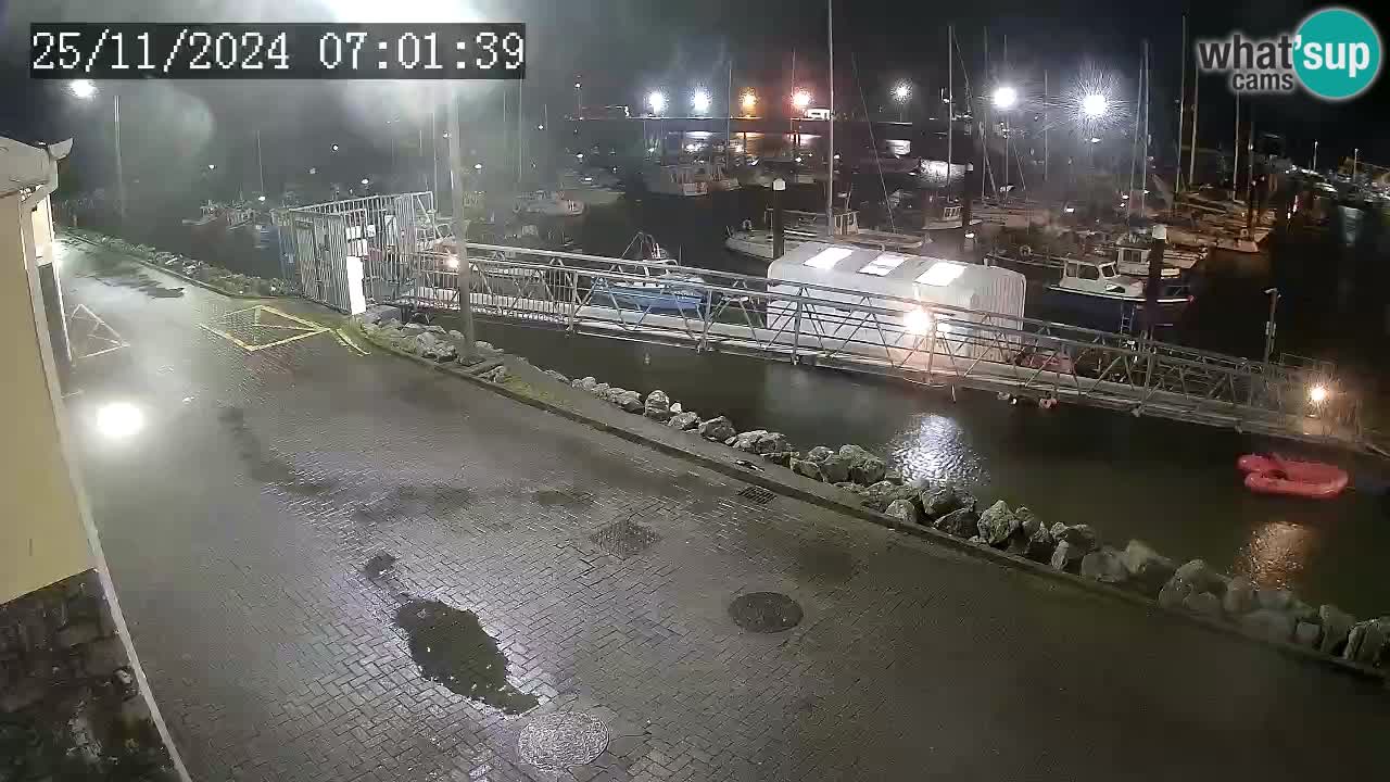 Fenit Marina camera en vivo