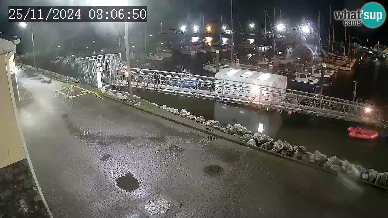 Fenit Marina webcam