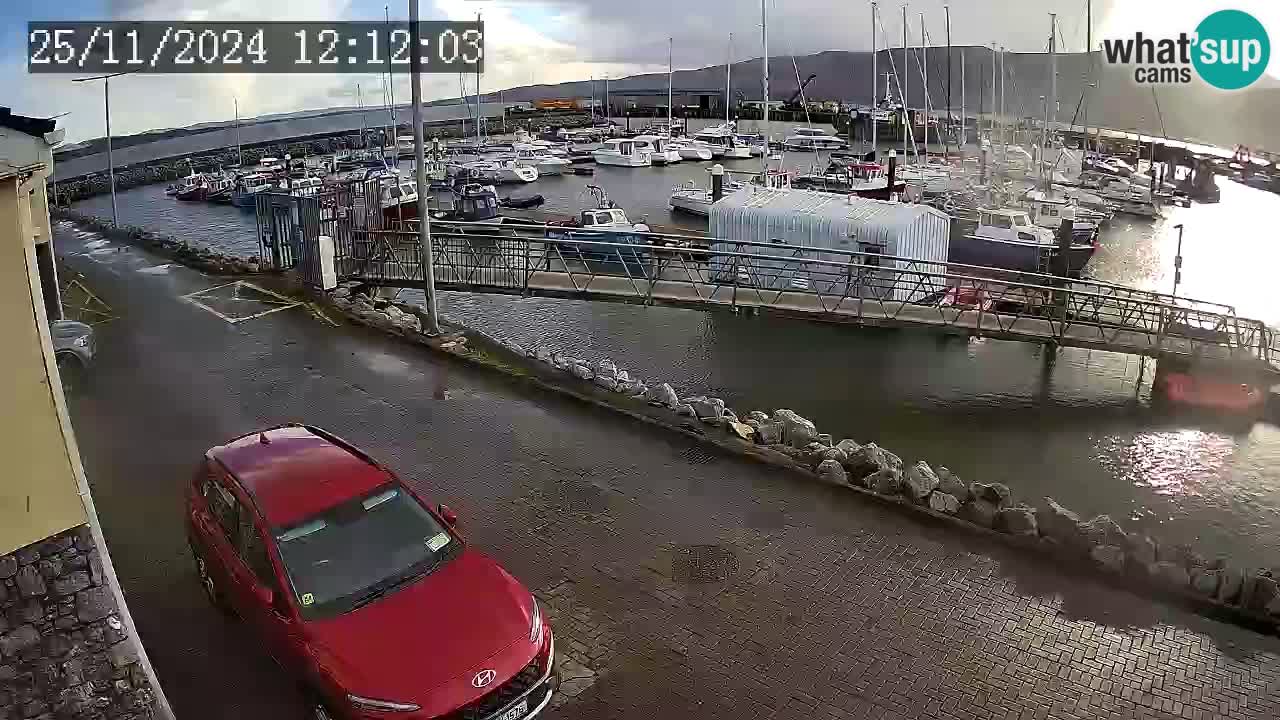 Fenit Marina webcam