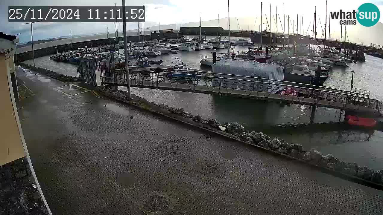 Fenit Marina webcam