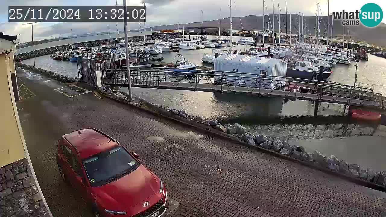 Fenit Marina webcam