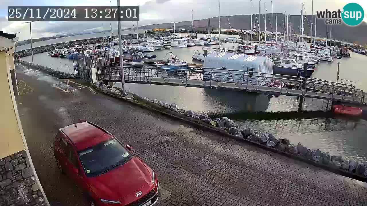 Fenit Marina camera en vivo