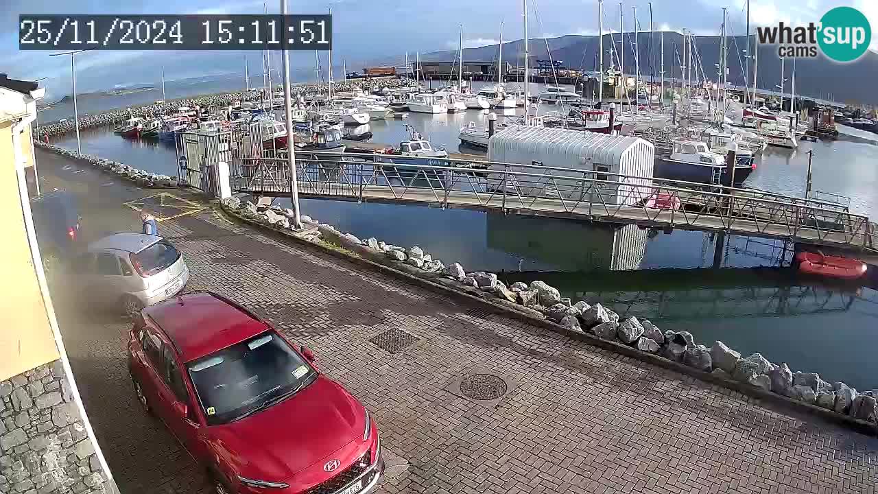 Fenit Marina webcam