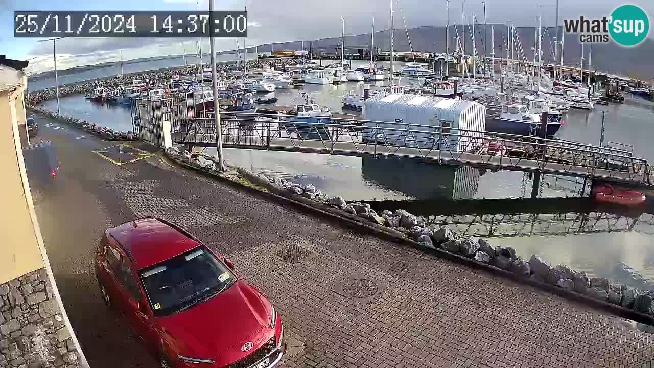 Fenit Marina webcam