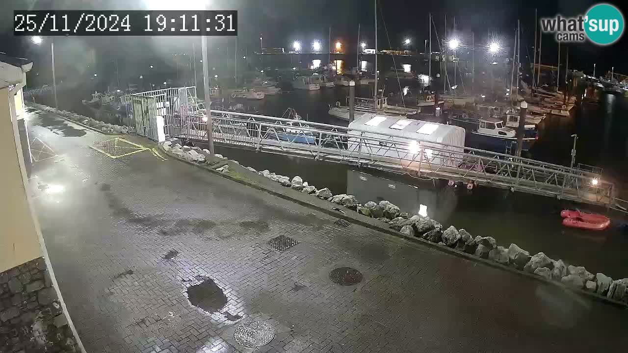 Fenit Marina webcam