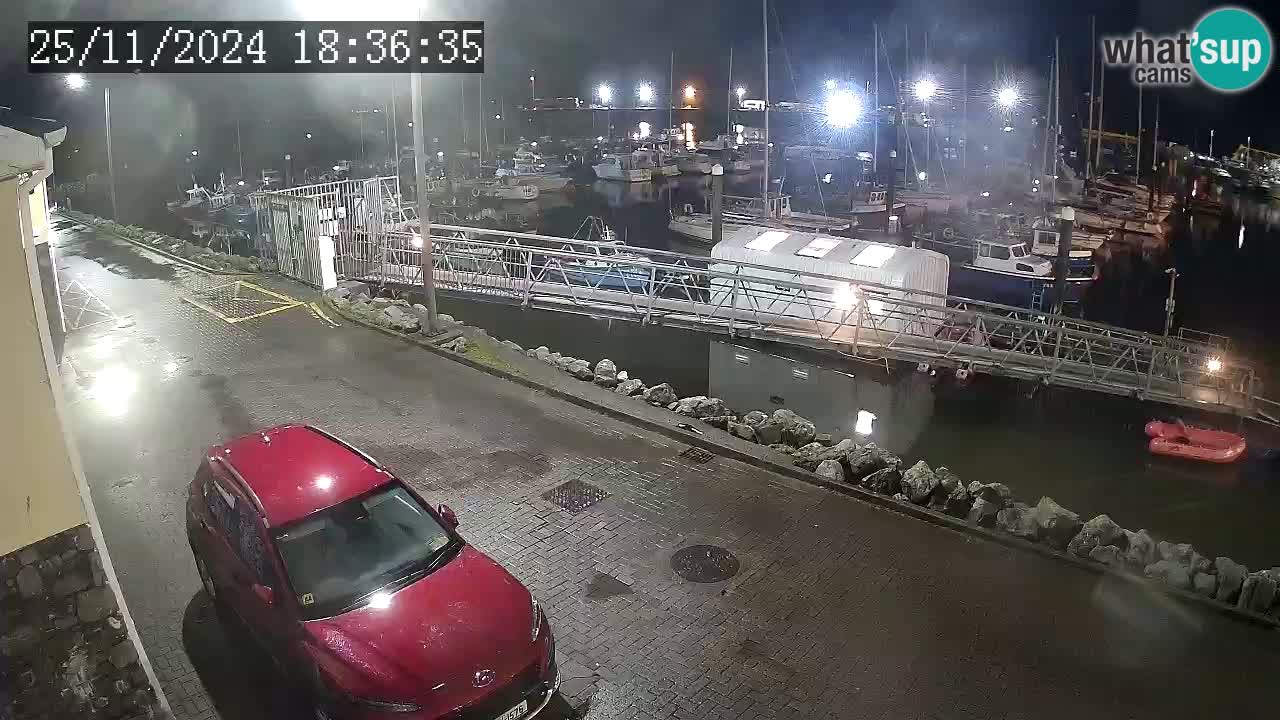 Fenit Marina webcam