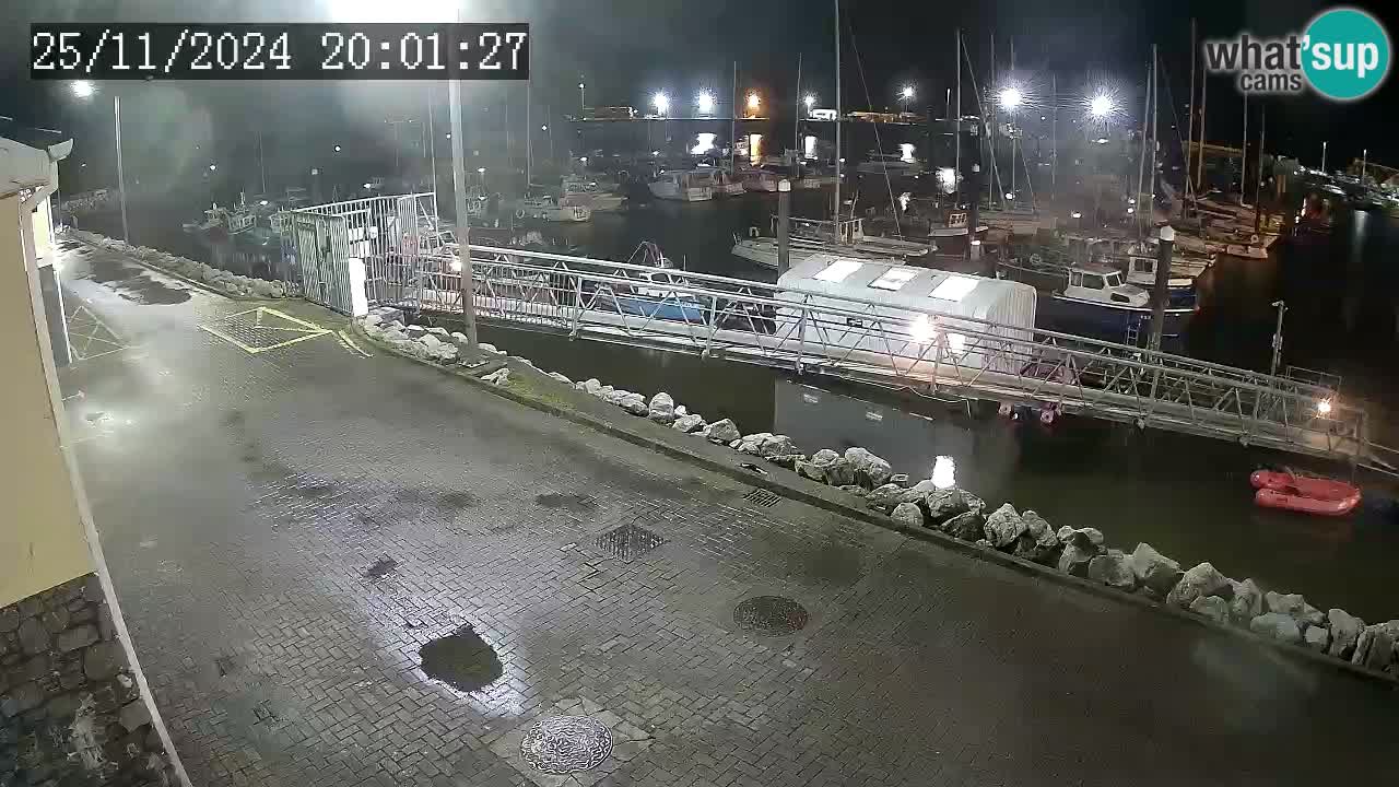 Fenit Marina camera en vivo