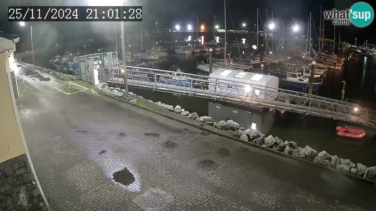 Fenit Marina camera en vivo