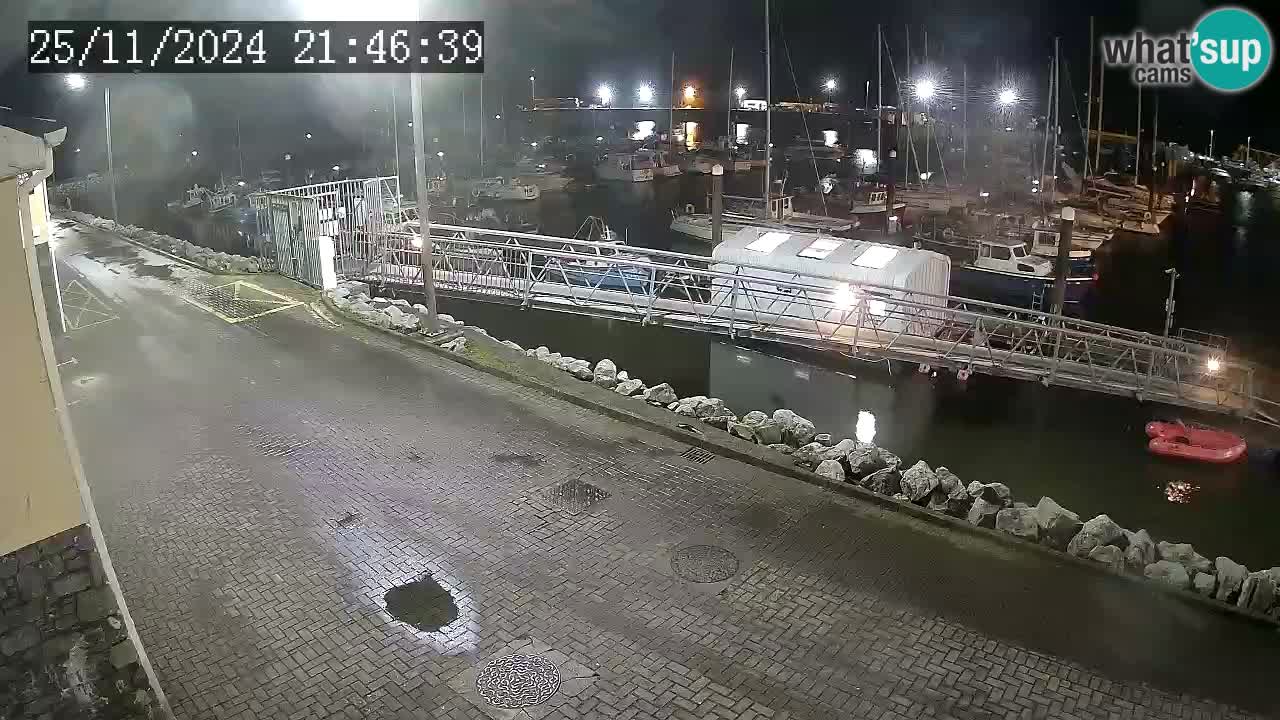 Fenit Marina camera en vivo