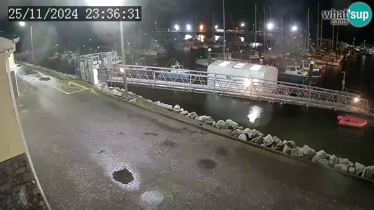 Fenit Marina camera en vivo