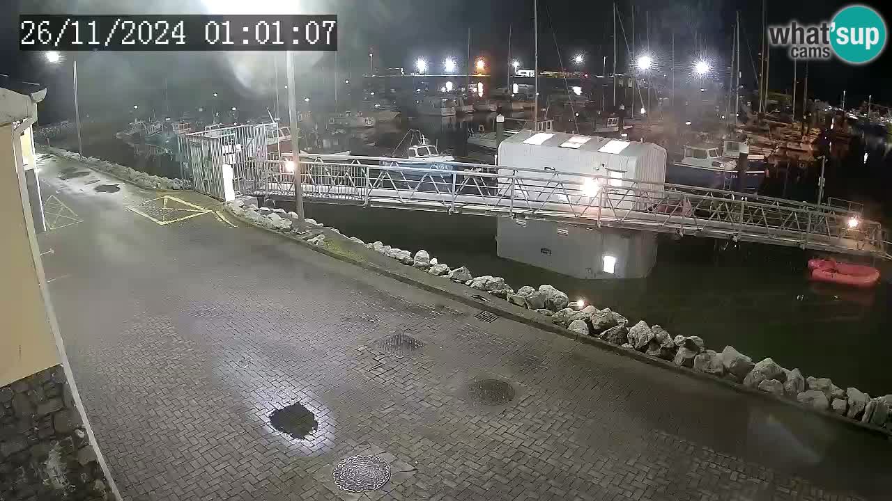 Fenit Marina camera en vivo