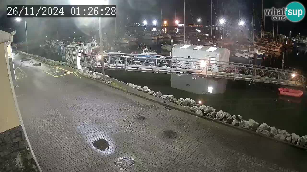 Fenit Marina camera en vivo