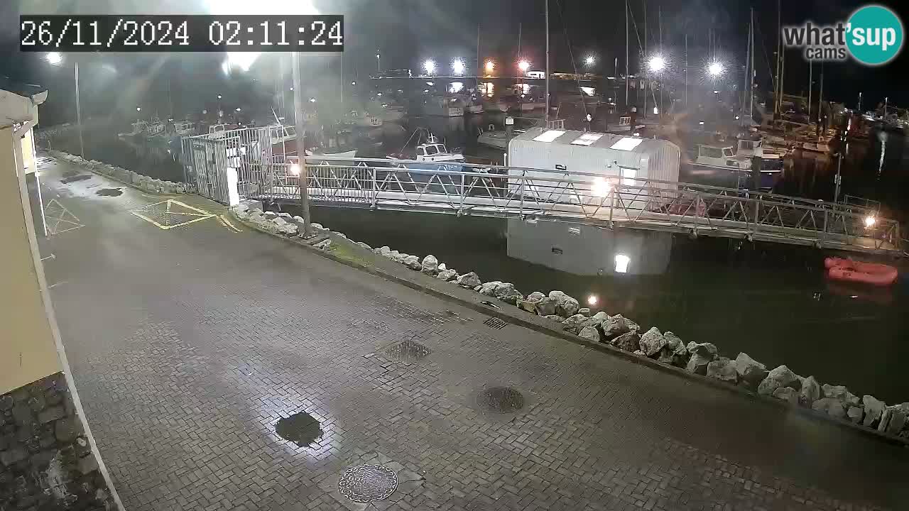 Fenit Marina camera en vivo