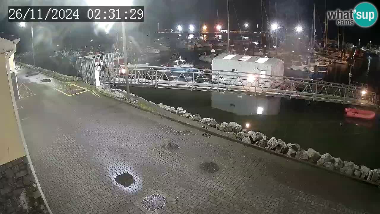 Fenit Marina camera en vivo