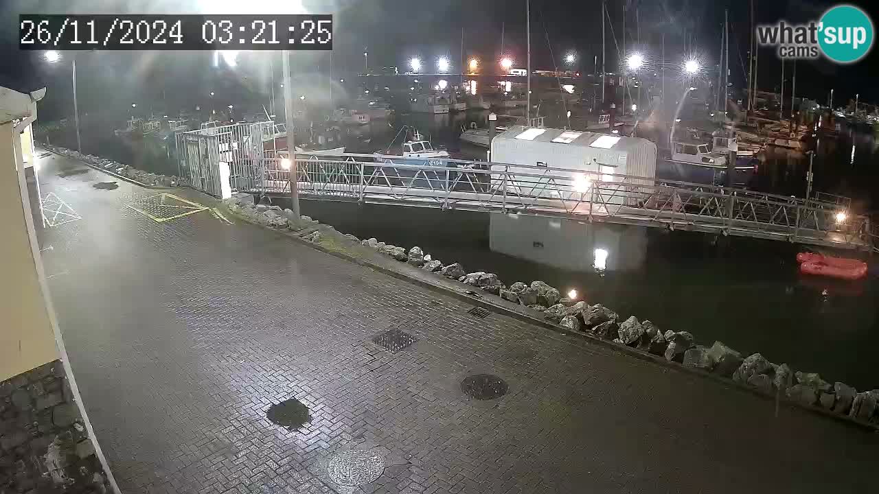 Fenit Marina webcam