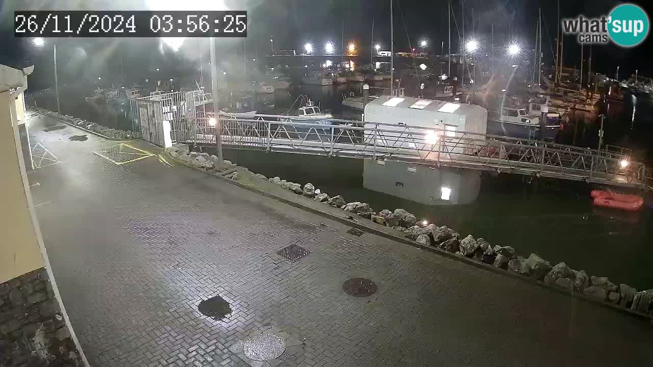 Fenit Marina camera en vivo