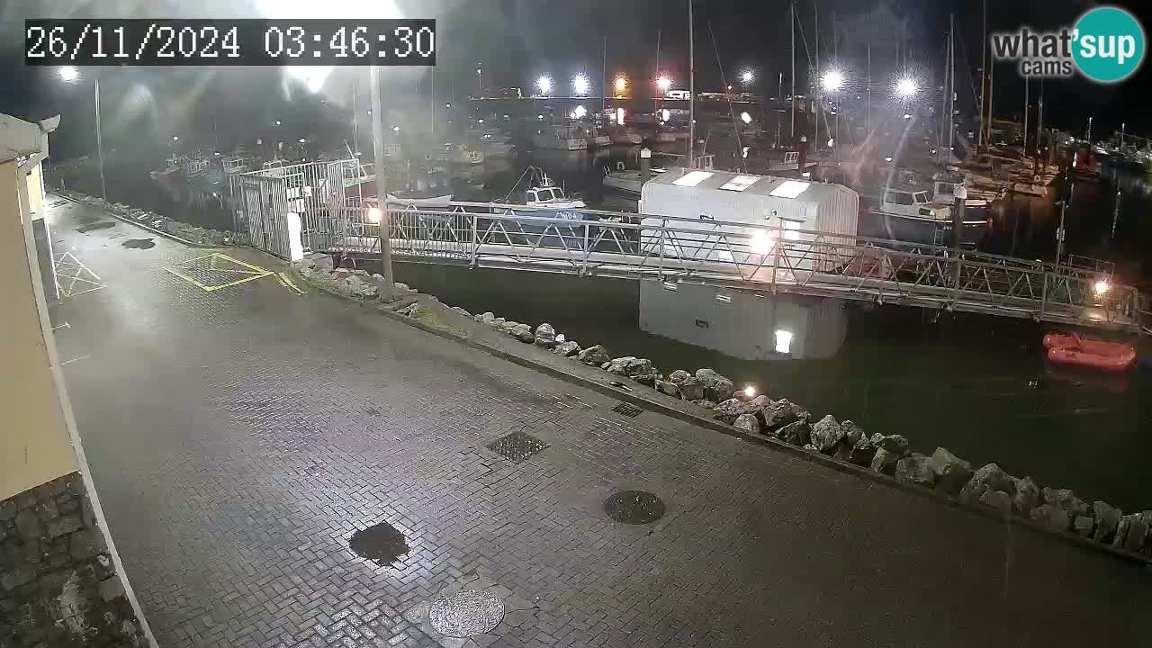 Fenit Marina camera en vivo