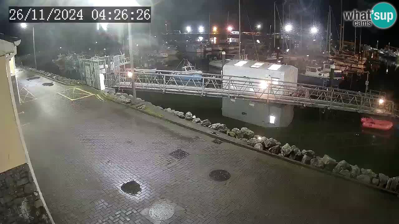 Fenit Marina camera en vivo