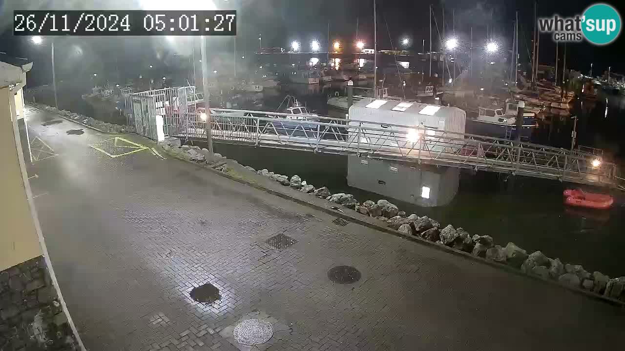 Fenit Marina camera en vivo