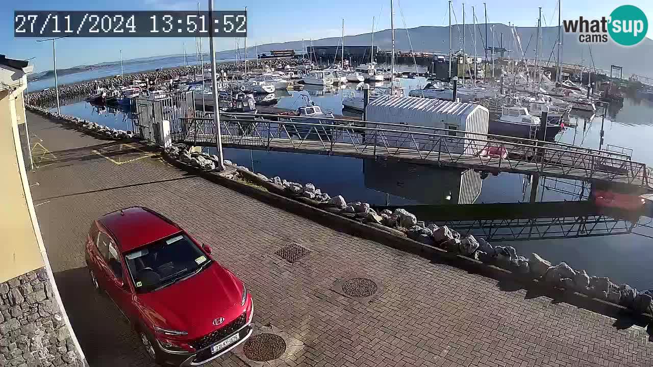 Fenit Marina webcam