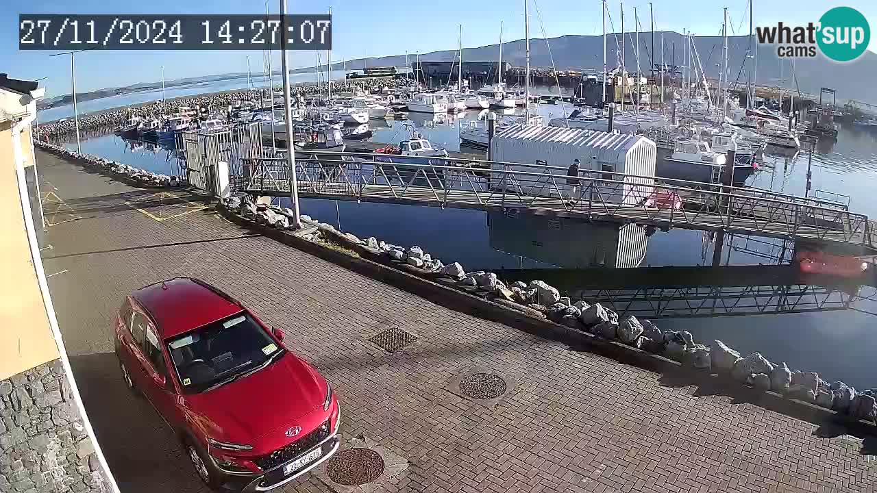 Fenit Marina spletna kamera