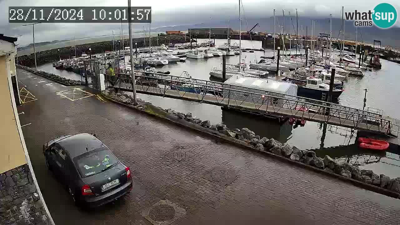 Fenit Marina camera en vivo