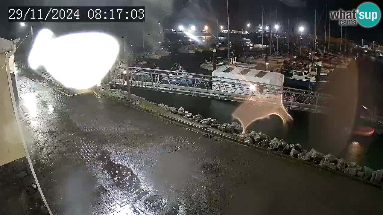 Fenit Marina webcam