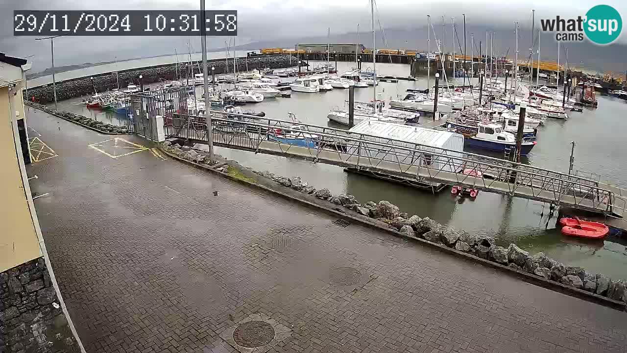 Fenit Marina camera en vivo