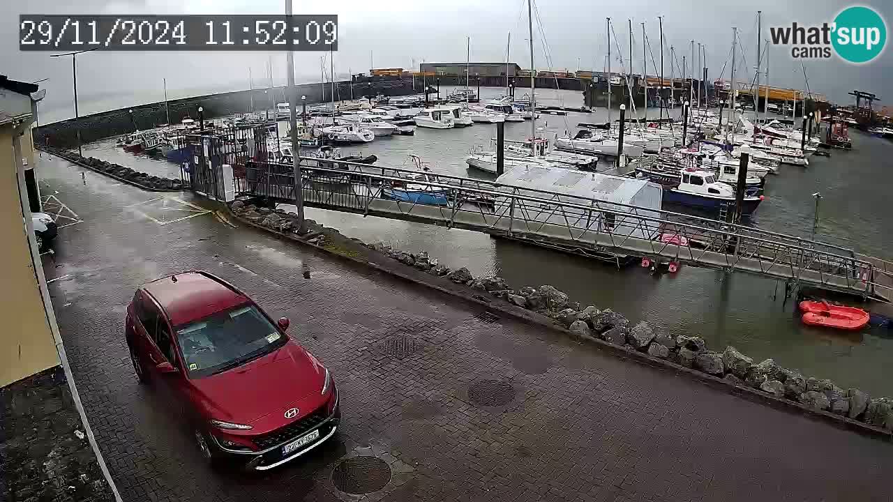 Fenit Marina spletna kamera