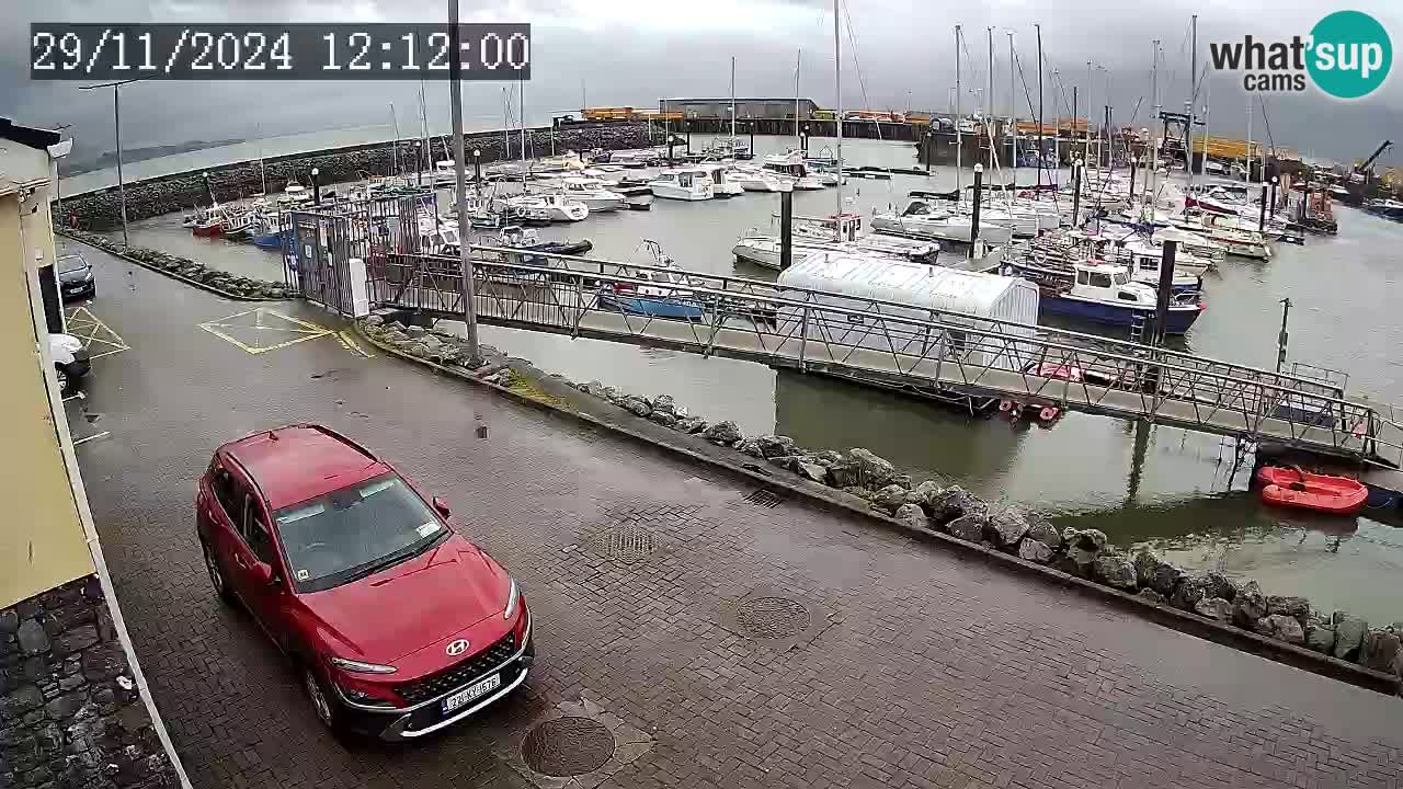 Fenit Marina camera en vivo