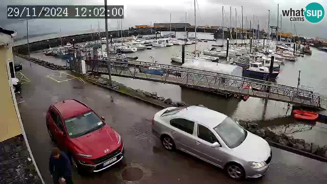 Fenit Marina web kamera