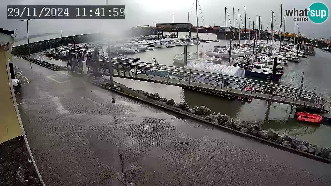 Fenit Marina camera en vivo